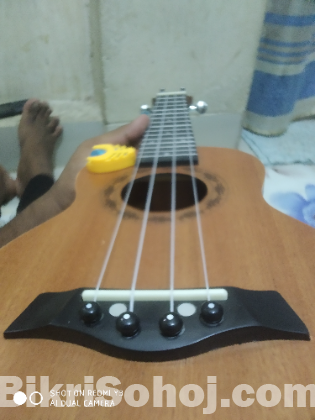 ইউকে লেলে ২১ ইঞ্চি